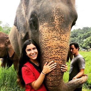 Meet your Posher, Sierra